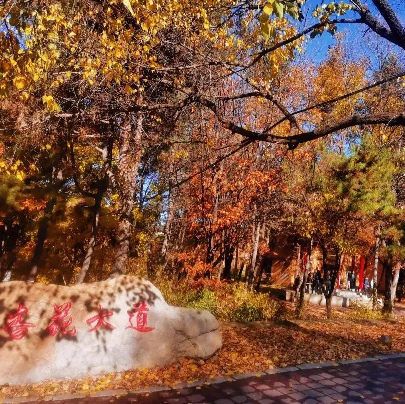 如何制定智能篮球训练计划_2